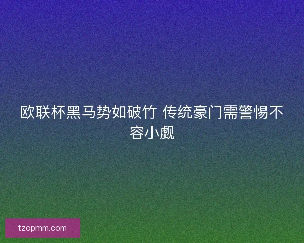 欧联杯黑马势如破竹 传统豪门需警惕不容小觑 欧联杯黑马势如破竹 传统豪门需警惕不容小觑