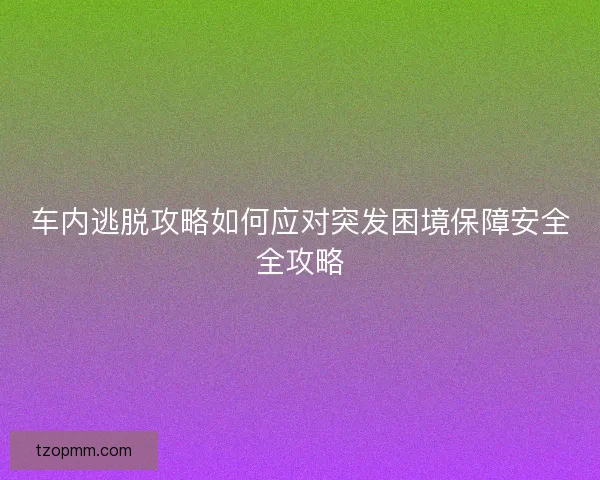 车内逃脱攻略如何应对突发困境保障安全全攻略